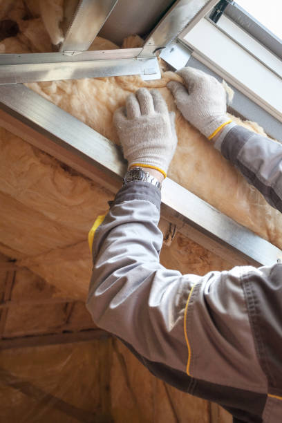 Professional Insulation in Bloomfield, IA